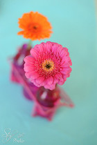 img03